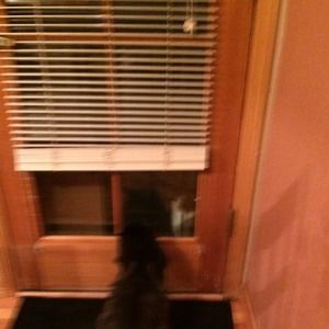 Meet your Posher, Dwight